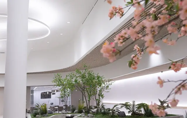 Finished lobby atrium with a curved wood-slat ceiling